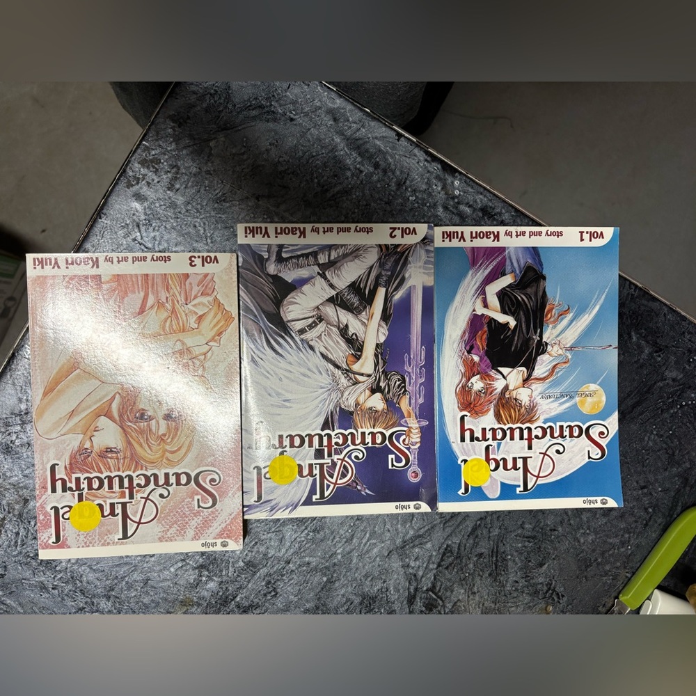Angel Sanctuary Manga Books 1,2,&3. Mature theme novels